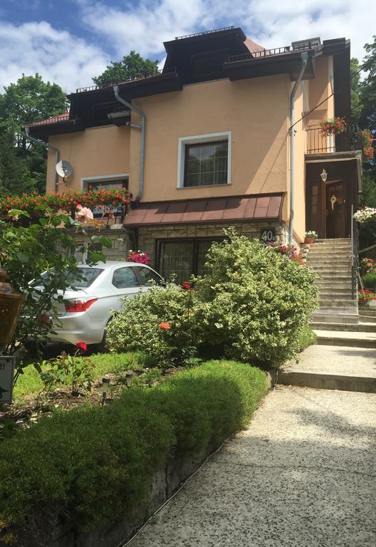 Noclegi Pod Kasztanem 두슈니키 즈드로지 외부 사진